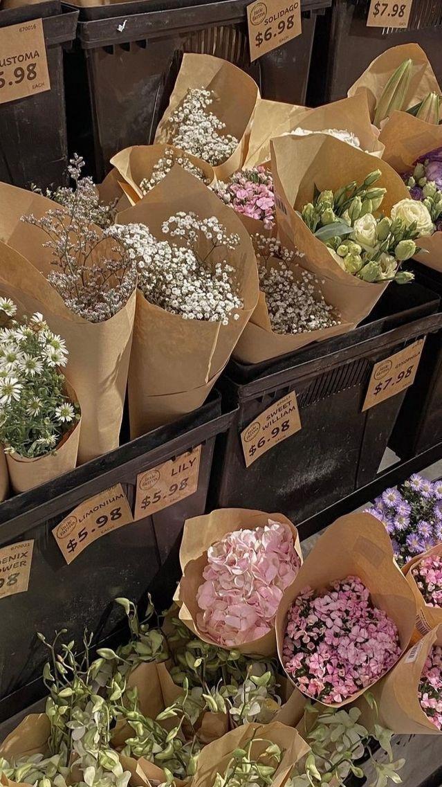 Nature's Embrace: Verdant Foliage and Blooms